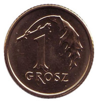 Монета 1 грош, 2010 год, Польша. Дубовый лист. Монета 1 грош, 2010 год, Польша. Дубовый лист.