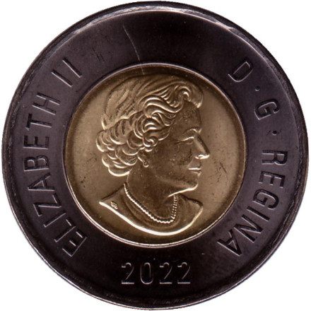 Монета 2 доллара. 2022 год, Канада. В память о Елизавете II. (Черный доллар). 