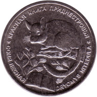 Монета 1 рубль. 2023 год, Приднестровье. Соня лесная. Красная книга Приднестровья. Монета 1 рубль. 2023 год, Приднестровье. Соня лесная. Красная книга Приднестровья.