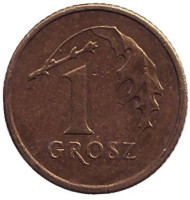 Монета 1 грош, 2002 год, Польша. Дубовый лист. Монета 1 грош, 2002 год, Польша. Дубовый лист.