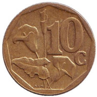 Монета 10 центов. 2006 год, Южная Африка. Лилия. Монета 10 центов. 2006 год, Южная Африка. Лилия.