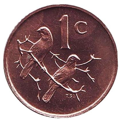 Монета 1 цент. 1971 год, ЮАР. UNC. Воробьи.