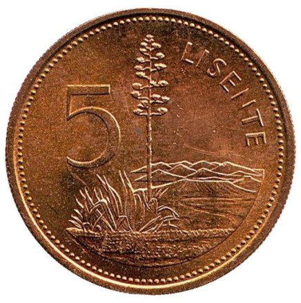 Монета 5 лисенте. 1979 год, Лесото. Туземное жилище на фоне леса.