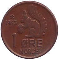 Монета 1 эре. 1963 год, Норвегия. Белка. Монета 1 эре. 1963 год, Норвегия. Белка.