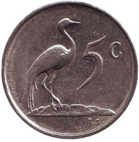 Африканская красавка. Монета 5 центов. 1981 год, Южная Африка.
