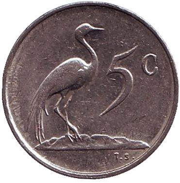 Монета 5 центов. 1981 год, Южная Африка. Африканская красавка.