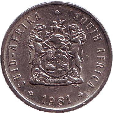 Монета 5 центов. 1981 год, Южная Африка. Африканская красавка.