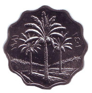 Монета 5 филсов. 1981 год, Ирак. Пальмы. Монета 5 филсов. 1981 год, Ирак. Пальмы.