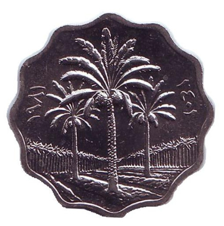 Монета 5 филсов. 1981 год, Ирак. UNC. Пальмы.
