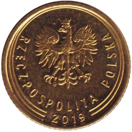 Монета 1 грош. 2019 год, Польша. Дубовый лист. Монета 1 грош. 2019 год, Польша. Дубовый лист.