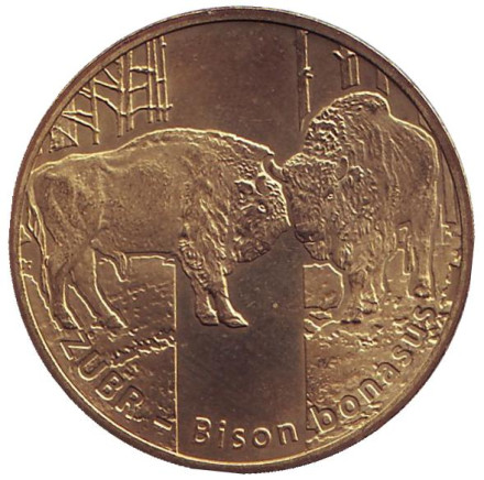 Монета 2 злотых, 2013 год, Польша. Животные мира - зубр (бизон).