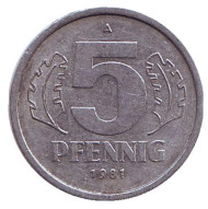 Монета 5 пфеннигов. 1981 год, ГДР. Монета 5 пфеннигов. 1981 год, ГДР.