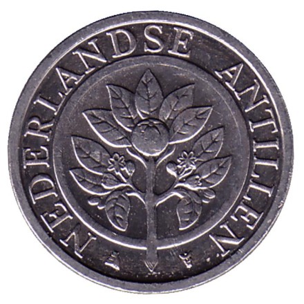 Монета 5 центов. 2012 год, Нидерландские Антильские острова. Цветок апельсинового дерева. Монета 5 центов. 2012 год, Нидерландские Антильские острова. Цветок апельсинового дерева.