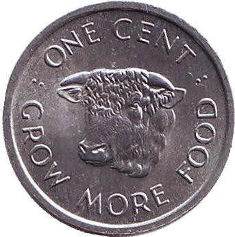 Монета 1 цент. 1972 год, Сейшелы. ФАО. Корова.