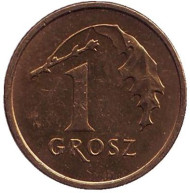 Монета 1 грош, 2005 год, Польша. Дубовый лист. Монета 1 грош, 2005 год, Польша. Дубовый лист.