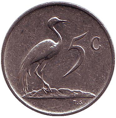 Монета 5 центов. 1983 год, Южная Африка. Африканская красавка.