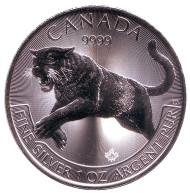 Монета 5 долларов, 2016 год, Канада. Пума. Монета 5 долларов, 2016 год, Канада. Пума.