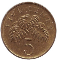 Монета 5 центов. 2005 год, Сингапур. Монстера деликатесная. Монета 5 центов. 2005 год, Сингапур. Монстера деликатесная.