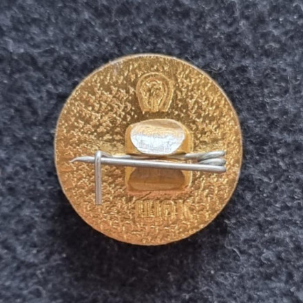 Голова В.И. Ленина в красном круге. Значок. СССР.