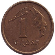 Монета 1 грош, 2006 год, Польша. Дубовый лист. Монета 1 грош, 2006 год, Польша. Дубовый лист.