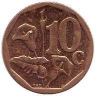 Монета 10 центов. 2008 год, Южная Африка. Лилия. Монета 10 центов. 2008 год, Южная Африка. Лилия.