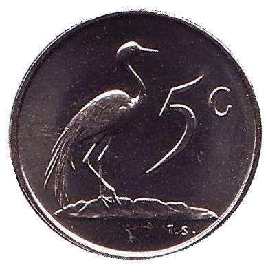 Монета 5 центов. 1971 год, Южная Африка. UNC. Африканская красавка.