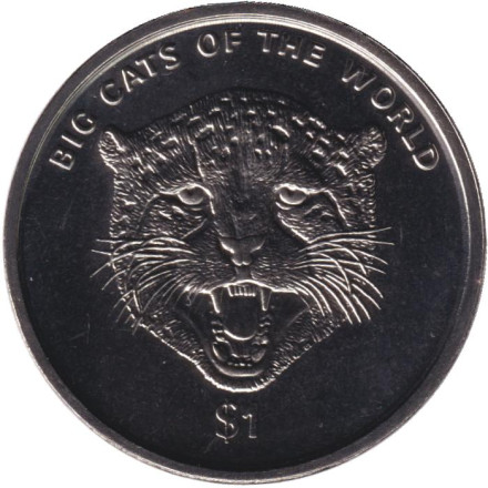 Монета 1 доллар. 2001 год, Сьерра-Леоне. Гепард. Большие кошки мира.