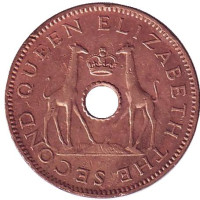 Жирафы. Монета 1/2 пенни. 1958 год, Родезия и Ньясаленд. Из обращения.