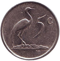 Африканская красавка. Монета 5 центов. 1984 год, Южная Африка.