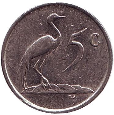 Монета 5 центов. 1984 год, Южная Африка. Африканская красавка.