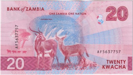 Банкнота 20 квача. 2024 год, Замбия.