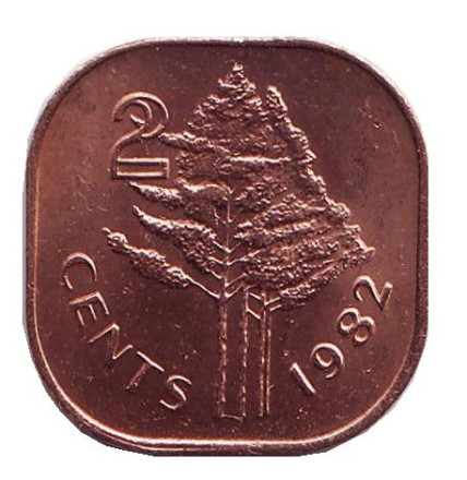 Монета 2 цента. 1982 год, Свазиленд. Деревья.