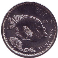 Рыба-кролик. Фиджийский барабан. Монета 5 центов. 2014 год, Фиджи.