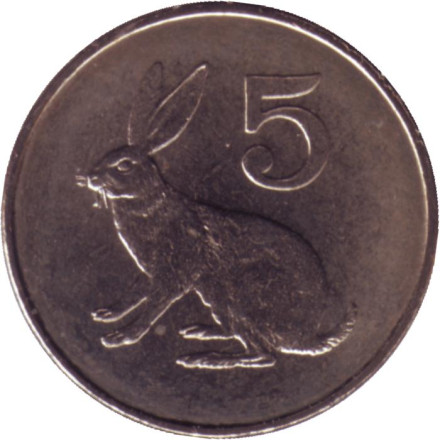 Монета 5 центов. 1988 год, Зимбабве. UNC. Кролик.