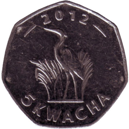 Монета 5 квача. 2012 год, Малави. Цапля.