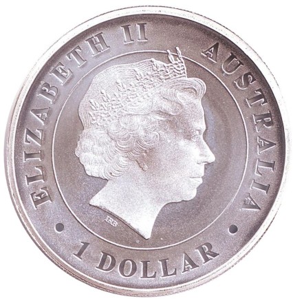 spider-12.jpg spider-12.jpg