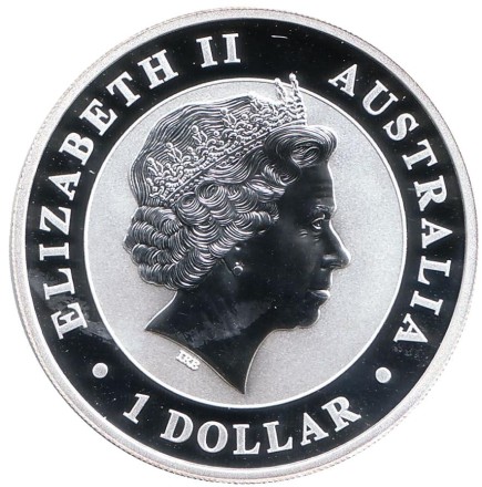 koala-2012-12.jpg koala-2012-12.jpg