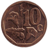 Монета 10 центов. 2009 год, Южная Африка. Лилия. Монета 10 центов. 2009 год, Южная Африка. Лилия.
