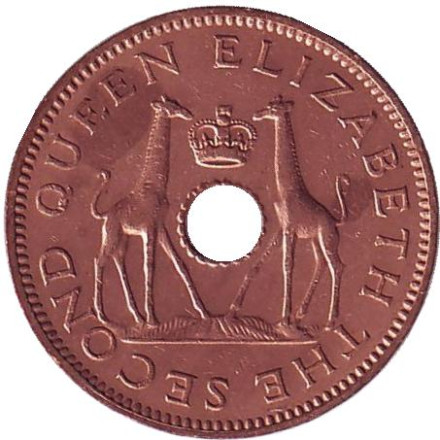 Монета 1/2 пенни. 1964 год, Родезия и Ньясаленд. Из обращения. Жирафы.