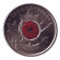 monetarus_Canada_25cents_2004_1_enl1v.jpg monetarus_Canada_25cents_2004_1_enl1v.jpg