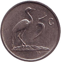 Африканская красавка. Монета 5 центов. 1985 год, Южная Африка.