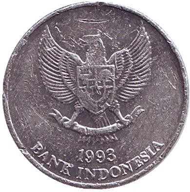 Монета 25 рупий. 1993 год, Индонезия. Мускатный орех. Монета 25 рупий. 1993 год, Индонезия. Мускатный орех.