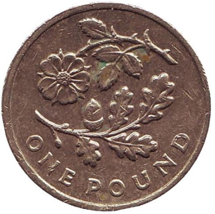 Монета 1 фунт. 2013 год, Великобритания. Флора Англии. Роза и дуб.