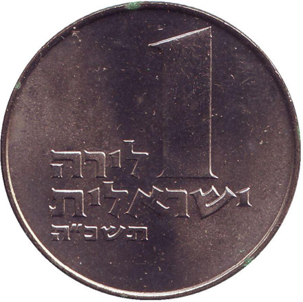 lira-1.jpg