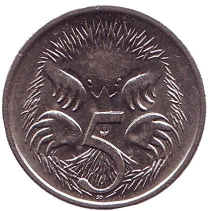 Монета 5 центов. 1992 год, Австралия. Ехидна.