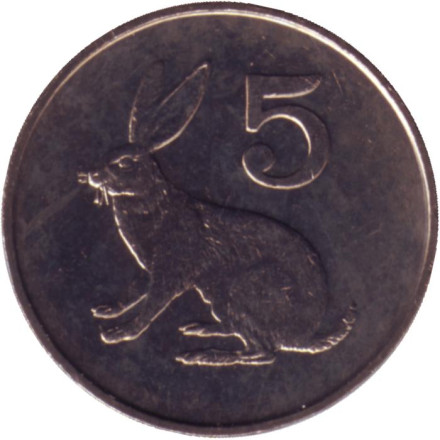 Монета 5 центов. 1980 год, Зимбабве. UNC. Кролик.