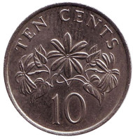 Монета 10 центов. 1985 год, Сингапур. Жасмин.