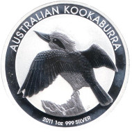 Монета 1 доллар. 2011 год, Австралия. Кукабарра. Монета 1 доллар. 2011 год, Австралия. Кукабарра.