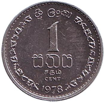 Монета 1 цент. 1978 год, Шри-Ланка. UNC.