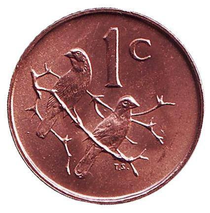 Монета 1 цент. 1966 год, ЮАР. (South Africa). aUNC. Воробьи.